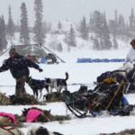 
              FILE - Martin Buser pulls his team into the Rainy Pass, Alaska, checkpoint of the Iditarod Trail Sled Dog Race, March 9, 2009. Only 33 mushers will participate in the ceremonial start of the Iditarod Trail Sled Dog Race on Saturday, March 4, the smallest field ever. (AP Photo/Al Grillo, File)
            