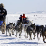 
              FILE - Dfending Iditarod champion Lance Mackey drives his team as he arrives first into the Unalakleet, Alaska, checkpoint on the Iditarod Trail Sled Dog Race on March 15, 2009. Only 33 mushers will participate in the ceremonial start of the Iditarod on Saturday, March 4, the smallest field ever to take their dog teams nearly 1,000 miles (1,609 kilometers) over Alaska's unforgiving wilderness. This year's lineup is smaller even than the 34 mushers who lined up for the very first race in 1973. (AP Photo/Al Grillo,File)
            