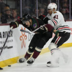 
              Arizona Coyotes center Jack McBain shields the puck from Chicago Blackhawks defenseman Isaak Phillips (41) in the first period during an NHL hockey game, Tuesday, Feb. 28, 2023, in Tempe, Ariz. (AP Photo/Rick Scuteri)
            