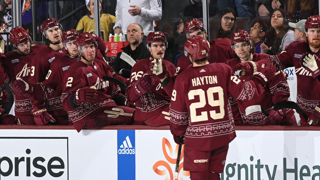 Barrett Hayton #29 of the Arizona Coyotes celebrates with teammates on the bench after scoring a go...
