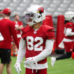 Arizona Cardinals WR Andre Baccellia looks on during training camp on Friday, July 28, 2023, in Glendale. (Tyler Drake/Arizona Sports)