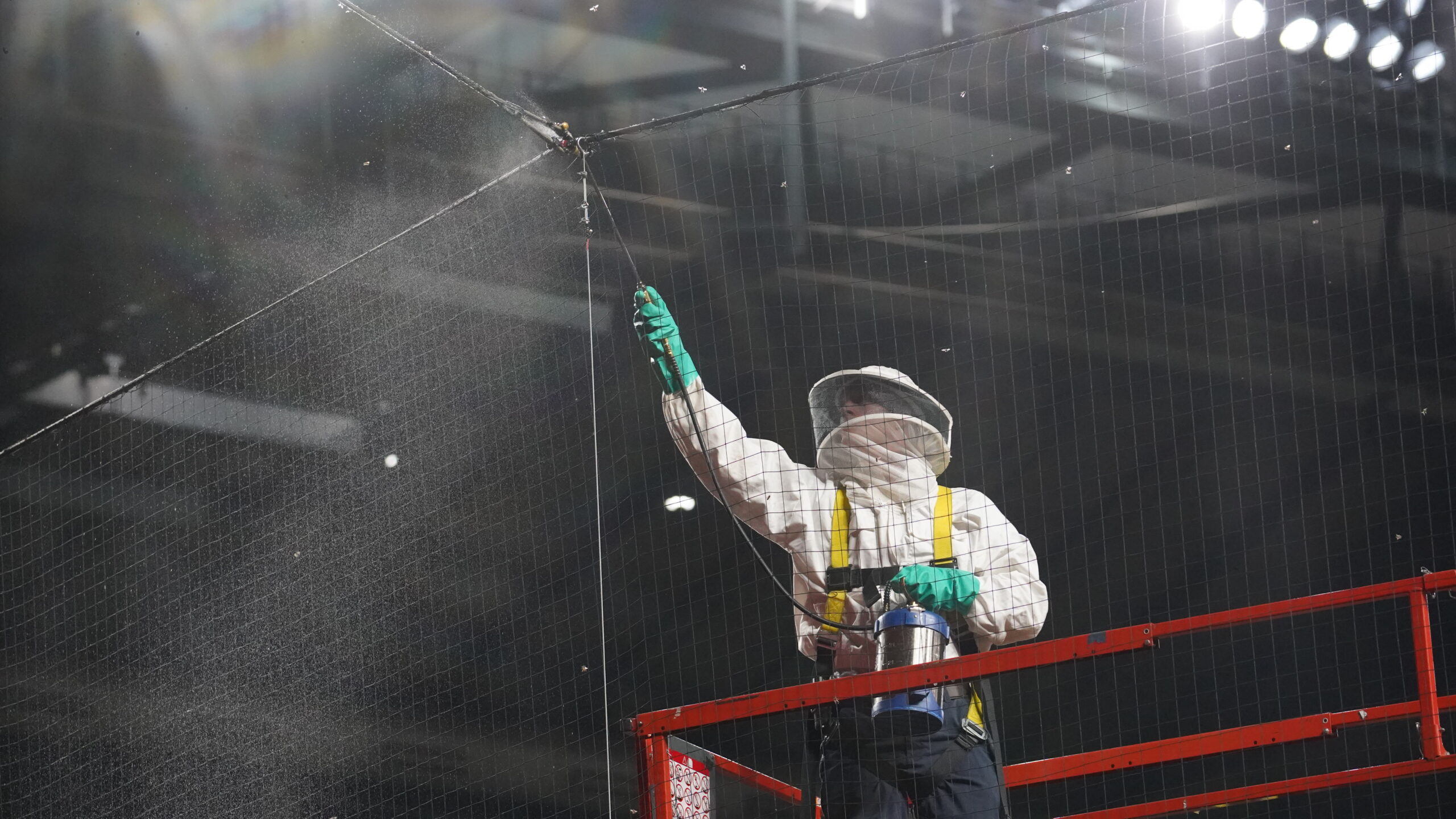 Beekeeper clearing the bees at Chase Field D-backs-Dodgers game....