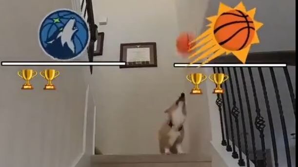 Aircorg the corgi predicts the Phoenix Suns to beat the Minnesota Timberwolves in six games....