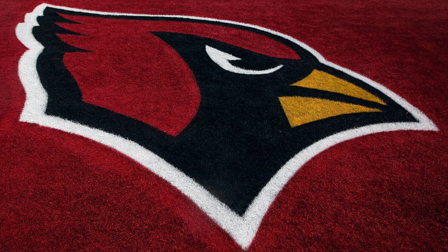 TAMPA, FL - FEBRUARY 01: The Arizona Cardinals logo is seen in the end zone before Super Bowl XLIII...