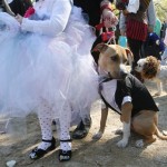 Matilda Molina, 4, dressed as a bride, left, and Lucky, a pit mix dressed as a groom, foreground right, wait to compete as a non-traditional marriage couple during the 18th annual Tompkins Square Halloween Dog Parade canine costume contest Sunday Oct. 26, 2008 in New York. (AP Photo/Tina Fineberg)