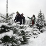 Brandon and Katharine Logan of Roseville, and Brenda Genneio of Dryden were picking out their Christmas trees, as the heavy snows began to fall at the Candy Cane Christmas Tree Farm Sunday Nov. 30, 2008 in Oxford, Mich. (AP Photo/The Detroit News, Charles V. Tines)
