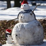 A snowman and his little snow buddy stand watch outside a home in Orange Village, Ohio on Wednesday, Dec. 3, 2008. (AP Photo/Amy Sancetta)
