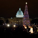 The U.S. Capitol Christmas Tree is lit up on Capitol grounds, Tuesday, Dec. 2, 2008, in Washington. This year's tree, a 70-foot Subalpine Fir, came from Montana's Bitterroot National Forest. (AP Photo/Manuel Balce Ceneta)