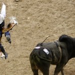 Zack Oakes, of Elk, Wash., is thrown from Hawaiian Ivory during the eighth go-round of bull riding at the National Finals Rodeo in Las Vegas, Thursday, Dec. 11, 2008. (AP Photo/Isaac Brekken)