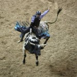 J.W. Harris, of May, Texas, rides War Zone during the eighth go-round of bull riding at the National Finals Rodeo in Las Vegas, Thursday, Dec. 11, 2008. (AP Photo/Isaac Brekken)