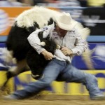 K.C. Jones, of Decatur, Texas, competes in the steer wrestling during the eighth go-round of the National Finals Rodeo in Las Vegas, Thursday, Dec. 11, 2008. (AP Photo/Isaac Brekken) 