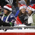 Fans watch from snow-covered stands during an NFL football game between the Arizona Cardinals and the New England Patriots in an NFL football game in Foxborough, Mass., Sunday, Dec. 21, 2008. (AP Photo/Winslow Townson)