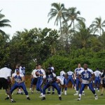 NFC players do warm up exercises against the lush backdrop of Hawaii during an NFC football practice at the Ko Olina Resort in Kapolei, Hawaii, Friday, Feb. 6, 2009, in preparation for the Pro Bowl football game this Sunday. (AP Photo/Ronen Zilberman)