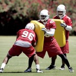 Arizona Cardinals' Chase Bullock (96) hits teammate Karlos Dansby (58) as Pago Togafau looks on during team workouts Tuesday, May 19, 2009, in Tempe, Ariz. (AP Photo/Matt York)