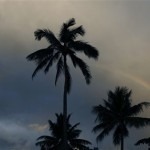 A rainbow is seen on the street near where President Barack Obama is staying in Kailua, Hawaii Wednesday, Dec. 30, 2009. The Obamas are in Hawaii for the holidays. (AP Photo/Alex Brandon)