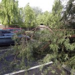 Tree branches are knocked down after a violent storm passed through the area on Tuesday, Oct. 5, 2010, in Phoenix. (AP Photo/Ross D. Franklin)
