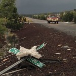 Insulation sits atop a downed street sign in Bellemont, Ariz., after a tornado swept through the small community west of Flagstaff on Wednesday, Oct. 6, 2010. (AP Photo/Felicia Fonseca)