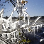Icicles hang from a tree next to plants in a field covered with frost cloth at Dewars Nurseries in Apopka, Fla., Tuesday, Dec. 14, 2010. The plants are sprayed with water to help protect them from below-freezing temperatures. (AP Photo/John Raoux)