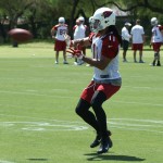Larry Fitzgerald makes a catch during OTAs 
Thursday. (Photo by Adam Green/Arizona Sports)