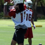 T-15. Larry Fitzgerald, wide receiver, Arizona 
Cardinals. Will earn $5 million in 2012. 
(Photo: Adam Green/Arizona Sports)
