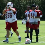 Scott Wedige and Larry Fitzgerald lead the 
charge during minicamp Tuesday, June 12. (Craig 
Grialou/Arizona Sports)