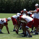 Kevin Kolb lines up with the offense during 
morning minicamp Wednesday, June 13. (Craig 
Grialou/Arizona Sports)