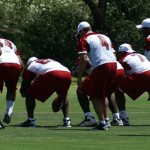 Kevin Kolb takes the snap during minicamp 
Wednesday, June 13. (Craig Grialou/Arizona 
Sports)