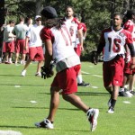 Wide receiver Larry Fitzgerald catches a pass during Arizona 
Cardinals training camp Thursday in Flagstaff. (Photo: Vince 
Marotta/Arizona Sports)