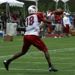 Stephen Williams looks to make the catch at 
Cardinals training camp Saturday, July 28. 
(Adam Green/Arizona Sports)