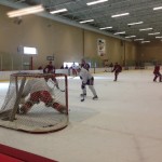 The Phoenix Coyotes didn't waste any time getting back to work following the end of the NHL lockout on Jan. 7. (Photo by Kyndra de St. Aubin)
