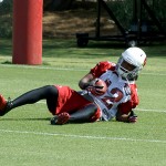 Cardinals receiver Andre Roberts falls on a punt during voluntary veterans mini-camp at the team's Tempe training facility on April 23, 2013. (Adam Green/Arizona Sports)