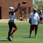 Larry Fitzgerald prepares for the ball to arrive during OTAs on May 21, 2013 at the team's Tempe training facility. (Adam Green/Arizona Sports)