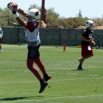 Receiver Michael Floyd makes a catch during Arizona Cardinals OTAs at their Tempe training facility on Monday, June 3. (Adam Green/Arizona Sports)