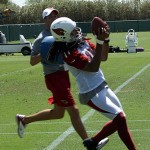 Larry Fitzgerald makes an over-the-shoulder catch during Arizona Cardinals OTAs on Thursday, June 6, 2013. (Adam Green/Arizona Sports)
