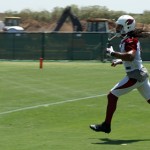Receiver Larry Fitzgerald can't come up with the ball during Arizona Cardinals OTAs on Thursday, June 6, 2013. (Adam Green/Arizona Sports)