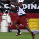 Running back Alfonso Smith makes a catch during Arizona Cardinals Fan Fest at University of Phoenix Stadium on June 11, 2013. (Adam Green/Arizona Sports)