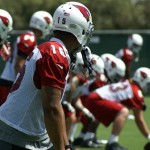 Receiver Michael Floyd waits for the snap during minicamp on Wednesday, June 12, at the team's Tempe training facility. (Adam Green/Arizona Sports)