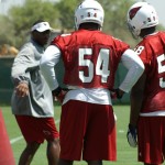 Linebackers Jasper Brinkley (54) and Daryl Washington (58) receive instruction during minicamp on Wednesday, June 12, at the team's Tempe training facility. (Adam Green/Arizona Sports)