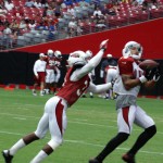 Receiver Michael Floyd tries to make an over-the-shoulder catch during the Cardinals' Red & White Practice Saturday, August 3 at University of Phoenix Stadium in Glendale. (Adam Green/Arizona Sports)