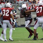 Running back Alfonso Smith runs through the hole during the Cardinals' Red & White Practice Saturday, August 3 at University of Phoenix Stadium in Glendale. (Adam Green/Arizona Sports)