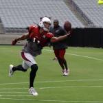 Receiver Larry Fitzgerald tries for the one-hand catch during Arizona Cardinals training camp Monday, Aug. 12, at University of Phoenix Stadium in Glendale. (Adam Green/Arizona Sports)