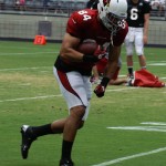 Tight end Rob Housler turns and runs with the ball during Arizona Cardinals training camp Monday, Aug. 12, at University of Phoenix Stadium in Glendale. (Adam Green/Arizona Sports)