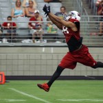 Receiver Kerry Taylor can't reach an over-thrown pass during Arizona Cardinals training camp on Aug. 19, 2013 at University of Phoenix Stadium in Glendale. (Adam Green/Arizona Sports)