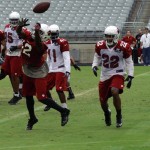 Receiver Andre Roberts has the ball bounce off his hands during Arizona Cardinals training camp at University of Phoenix Stadium on Aug. 22, 2013. (Adam Green/Arizona Sports)