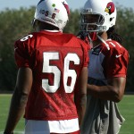 Karlos Dansby and Larry Fitzgerald talk during practice at their Tempe training facility Thursday, Nov. 14, 2013. (Adam Green/Arizona Sports)