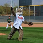 Arizona Diamondbacks mascot Baxter delivers a pitch Saturday at the Salt River Fields in Scottsdale. (Photo courtesy of Jennifer Stewart/Arizona Diamondbacks)