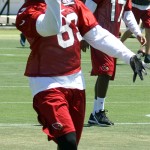 Receiver Walt Powell makes a one-handed catch during OTAs at the Arizona Cardinals' Tempe training facility May 20, 2014. (Adam Green/Arizona Sports)