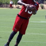 Receiver Jaron Brown makes a sideline catch during Arizona Cardinals OTAs at the team's Tempe training facility May 27, 2014. (Adam Green/Arizona Sports)