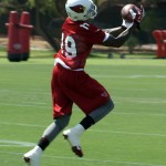 Receiver Ted Ginn, Jr. makes a catch during Arizona Cardinals OTAs at the team's Tempe training facility May 27, 2014. (Adam Green/Arizona Sports)