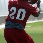 Running back Jonathan Dwyer makes a catch during OTAs at the Cardinals' Tempe training facility Monday, June 2. (Adam Green/Arizona Sports)